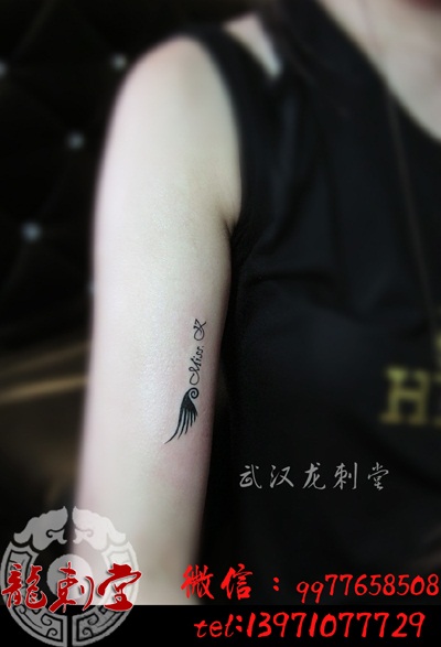 �ֱ۳���������Ӣ����