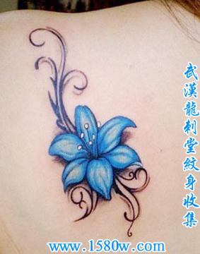 �粿�����ٺϻ�����ͼ��