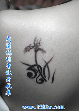 ��������ͼ��