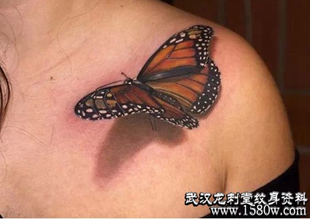 �粿3D��������