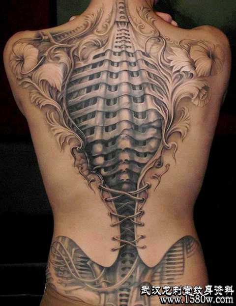 ����3D����ͼ��