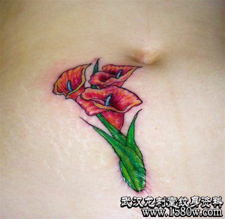 �ڸ��˰��������ǰ̺���