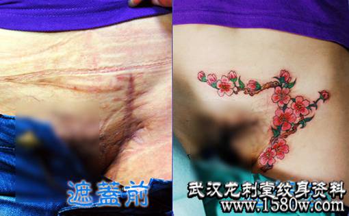 �ڸ������˰�����