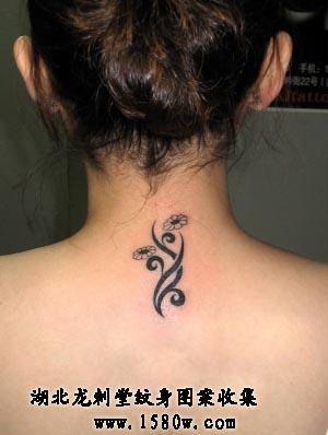 ����ͼ�ڻ�������������