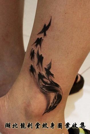 ��ë����������ͼ��