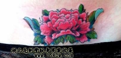 ĵ����������������