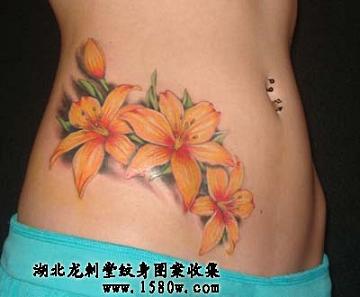 �ٺ�������������