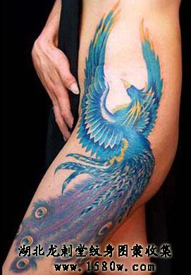 ���ȷ������ͼ��