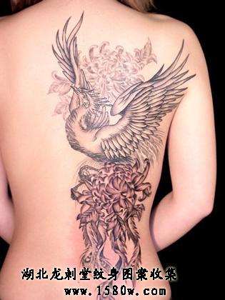 �ջ��������