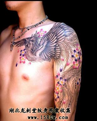 ӣ����˰�������