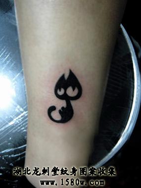 ͼ��Сè����