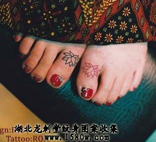 ��ֺ���������Ų�����