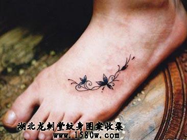 �����������Ų�����