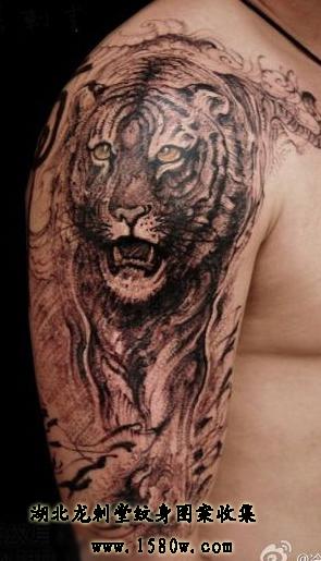 �ϻ�����ͼƬ