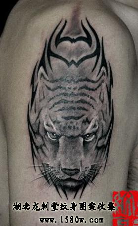 �����ϻ�����ͼ��