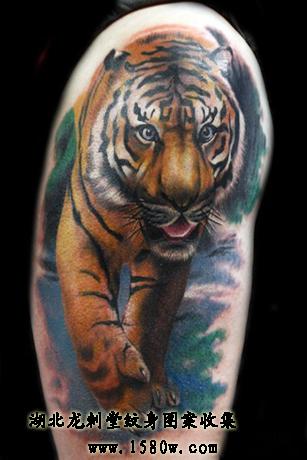 ����ϻ�����