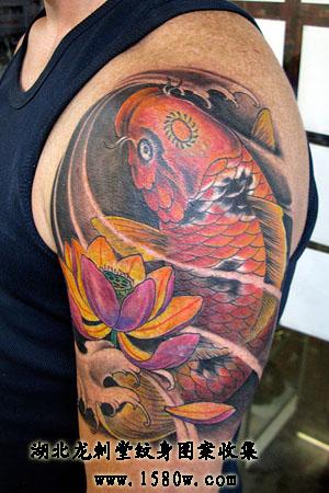 �ֱۺɻ���������