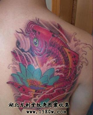 ����ɻ�������������