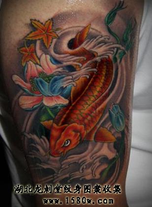 ��Ҷ��������