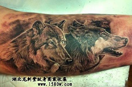 �ֱ�������ͼ��