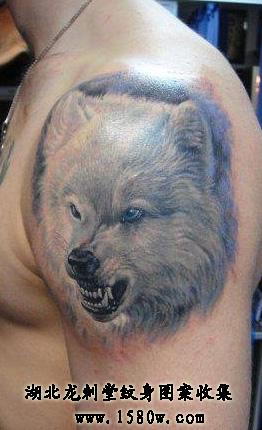 3D��ͷ����