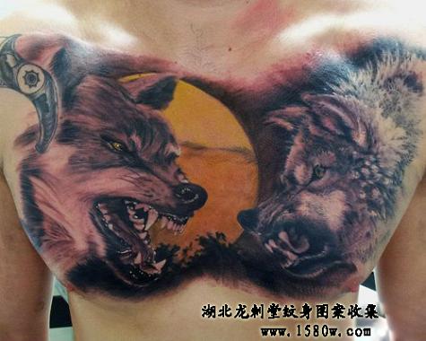 ��������ͷ����ͼ��