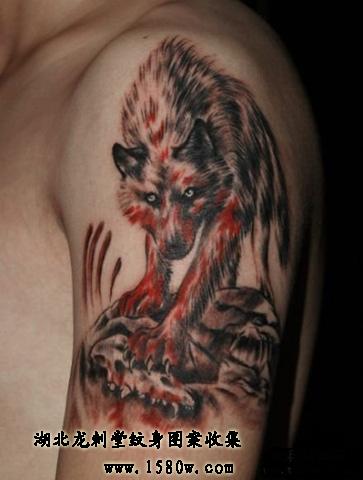 Ѫ������ͼ��