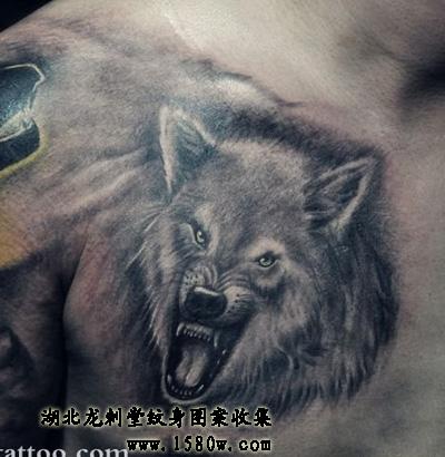 �׶����ͷ����