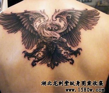 ŷ����ӥ����ͼ��