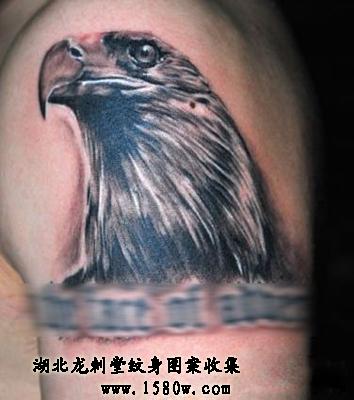 ������ӥ����