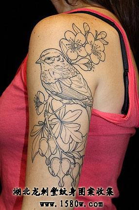 ����С�������ֲ�����