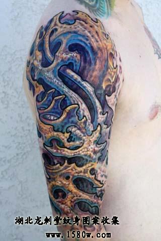 ������������ֲ�����