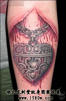 �����������ֲ�����