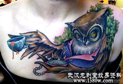 school&nbsp;èͷӥ����ͼ��