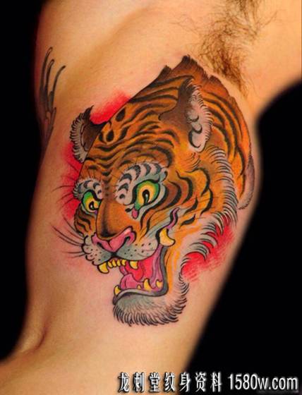 school&nbsp;&nbsp;��ͷ����ͼ��