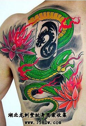 ��ɫ����������