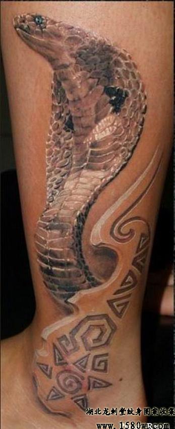 3D�۾�������ͼ��