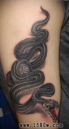 ������ͼ��