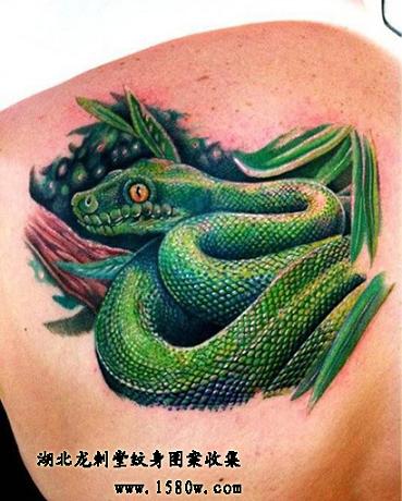 ��Ҷ��������ͼ��