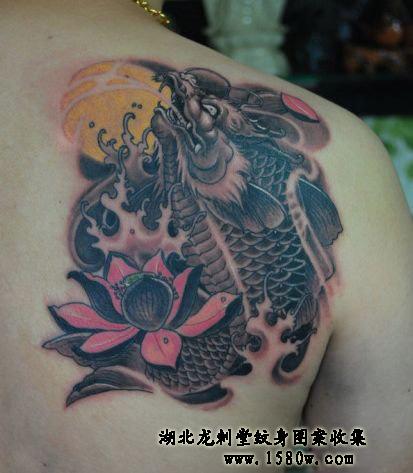 ��������������������