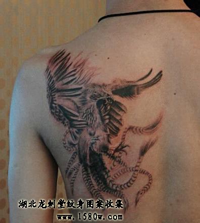 ��ȸ������������