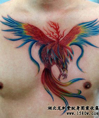 ��ȸ������������