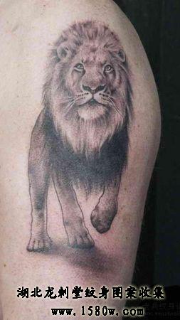 ʨ������ͼ��