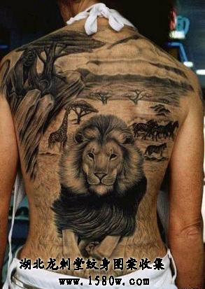 ����ʨ������ͼ��