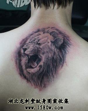 ʨ������ͼ��