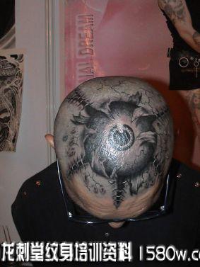 ͷ����������ͼ��