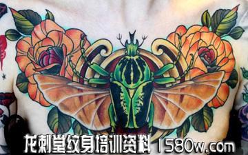 �ز��׳�����õ������