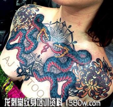 �ز��ջ�����������