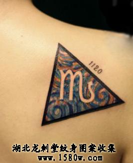 �ǿ���Ы��������������