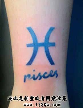 ˫����������������